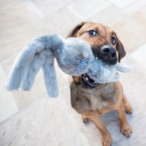 KONG Wubba Friend Squeaky Plush Tug Dog Toy - Large Assorted (32cm)