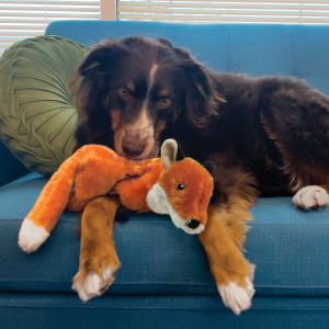 KONG Wild Low Stuff Fox Squeaky Plush Dog Toy - Medium