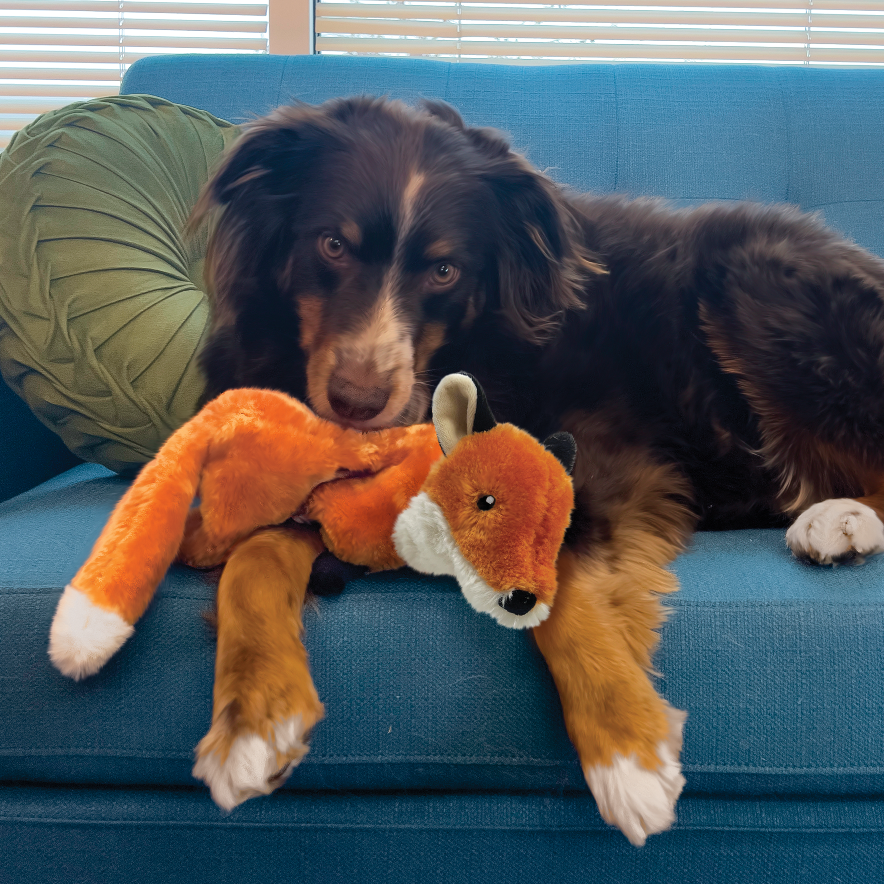 KONG Wild Low Stuff Fox Squeaky Plush Dog Toy - Medium