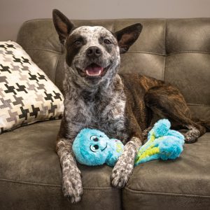 KONG Wubba Octopus Squeaky Plush Tug Dog Toy - Large Assorted