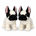 Harleys Companions - French Bulldog + Bundle