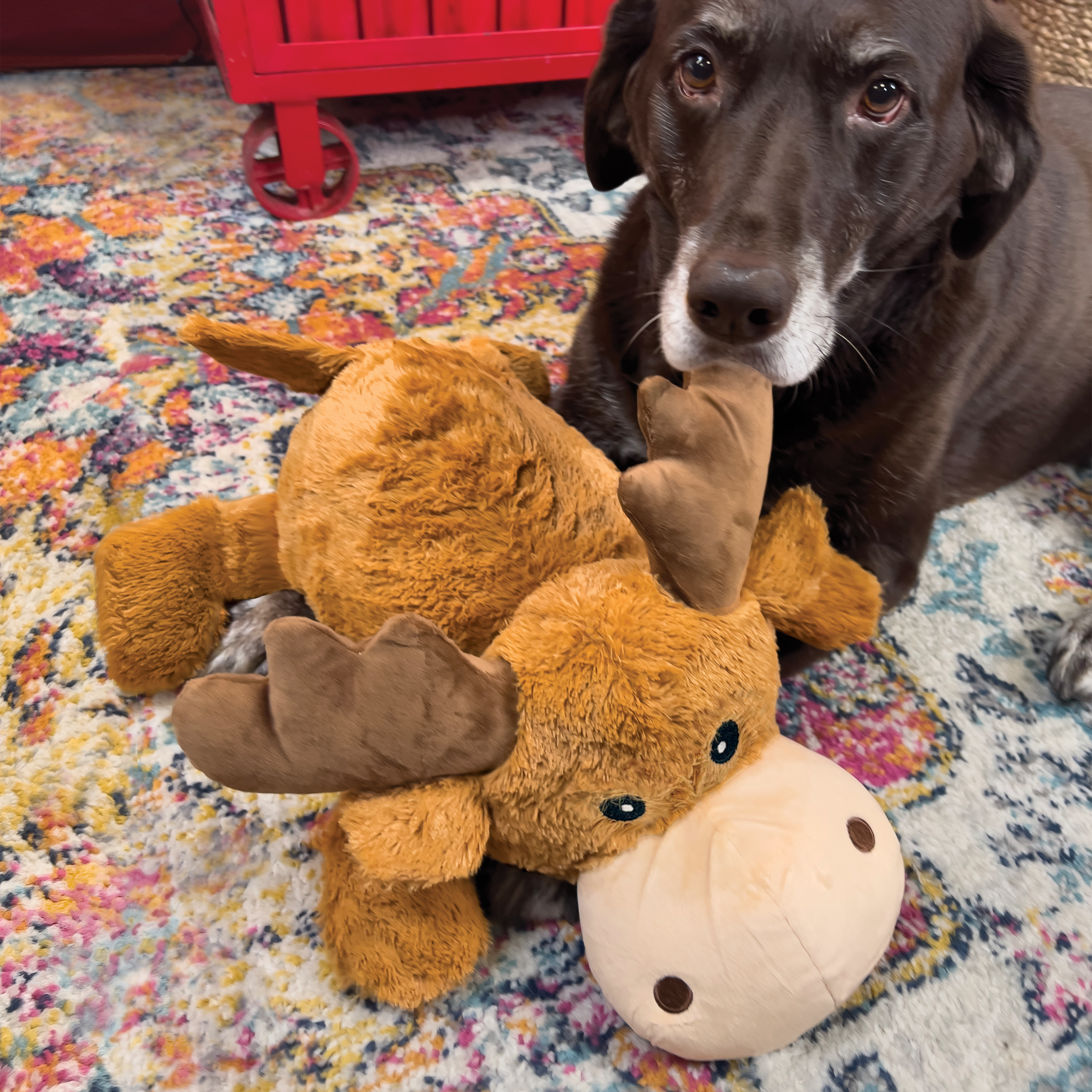 KONG Cozie Marvin Moose Jumbo Plush Dog Toy X-Large