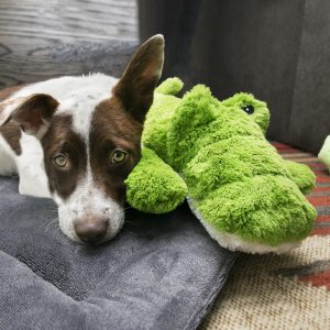 KONG Cozies Marvin Moose Plush Dog Toy X-Large