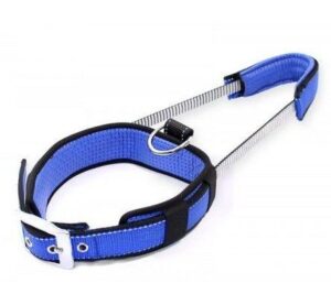Patento Premium Adjustable Padded Reflective Dog Collar with Integrated Leash - XL Blue (61-71cm)