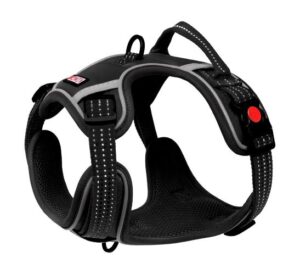 KONG Control Harness Adjustable Dog Harness Small - Black