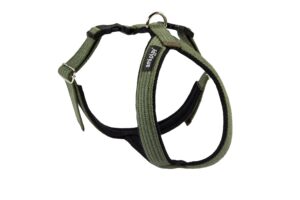 Ami Play Grand Cotton Adjustable Durable Dog Harness - Medium Green (2cm)