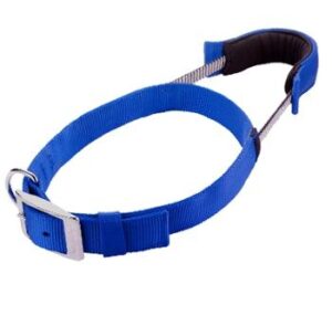 Patento Basic Adjustable Reflective Dog Collar with Integrated Leash - XL Blue (61-71cm)