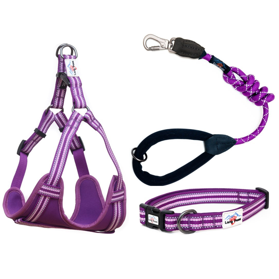 Long Paws, Comfort Collar, Dog Harness & Rope Lead Set