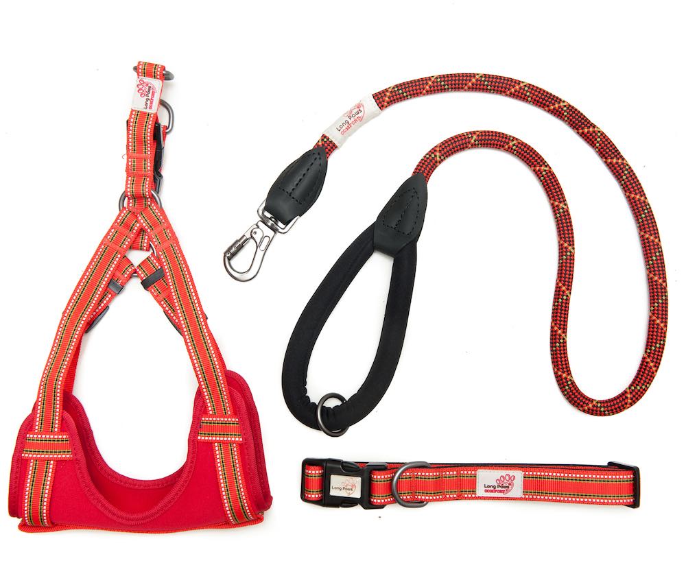 Long Paws, Comfort Collar, Dog Harness & Rope Lead Set