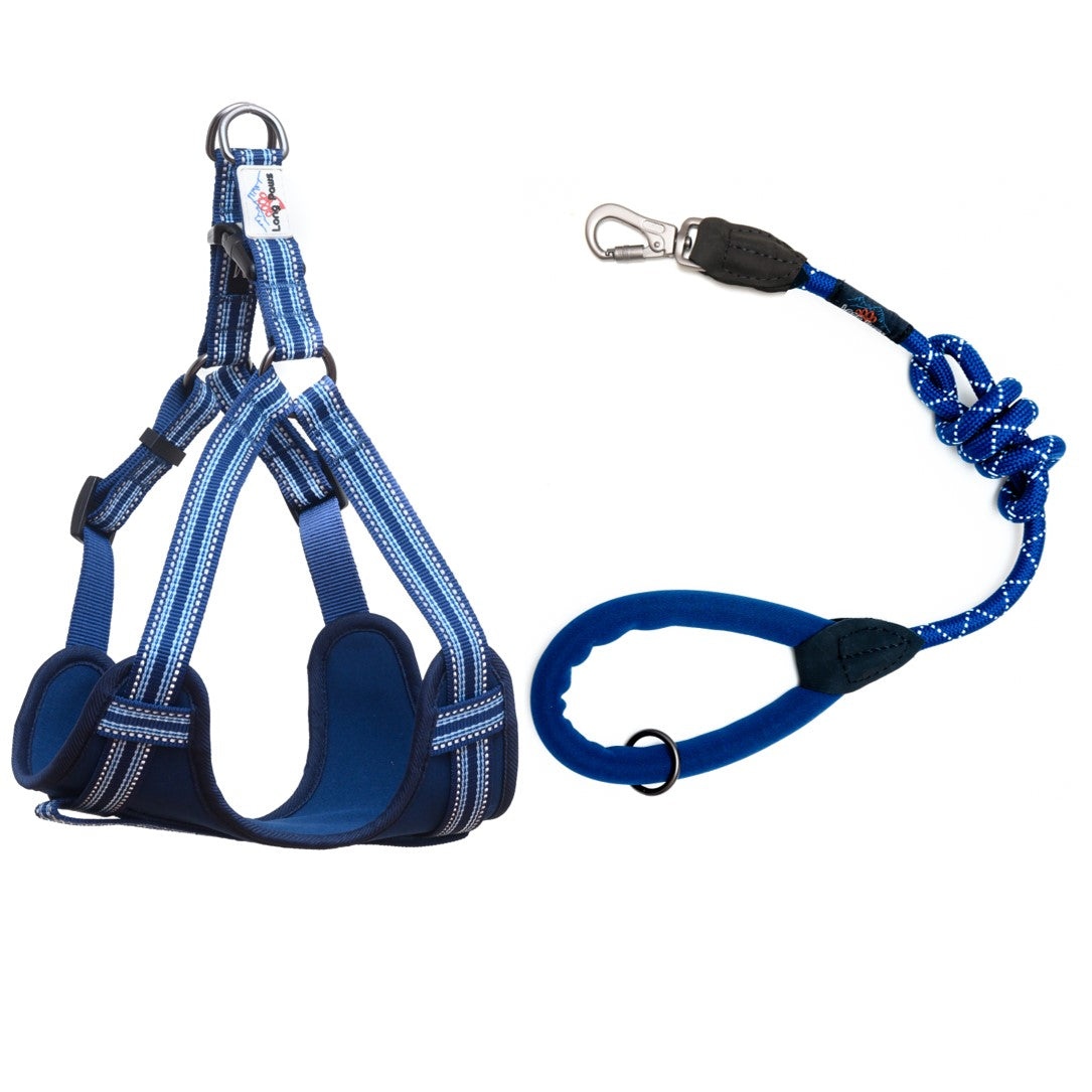 Long Paws, Comfort Rope Lead & Harness Set