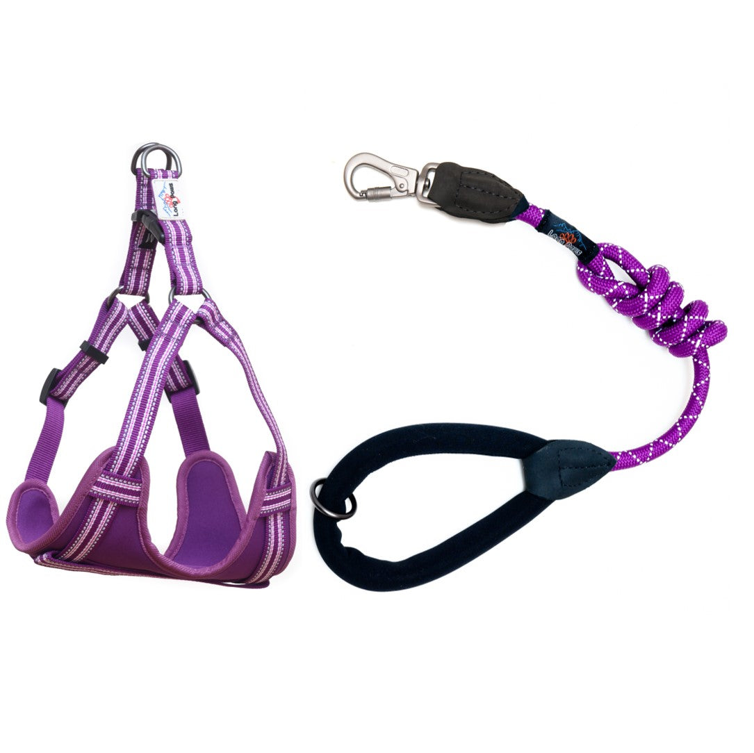 Long Paws, Comfort Rope Lead & Harness Set