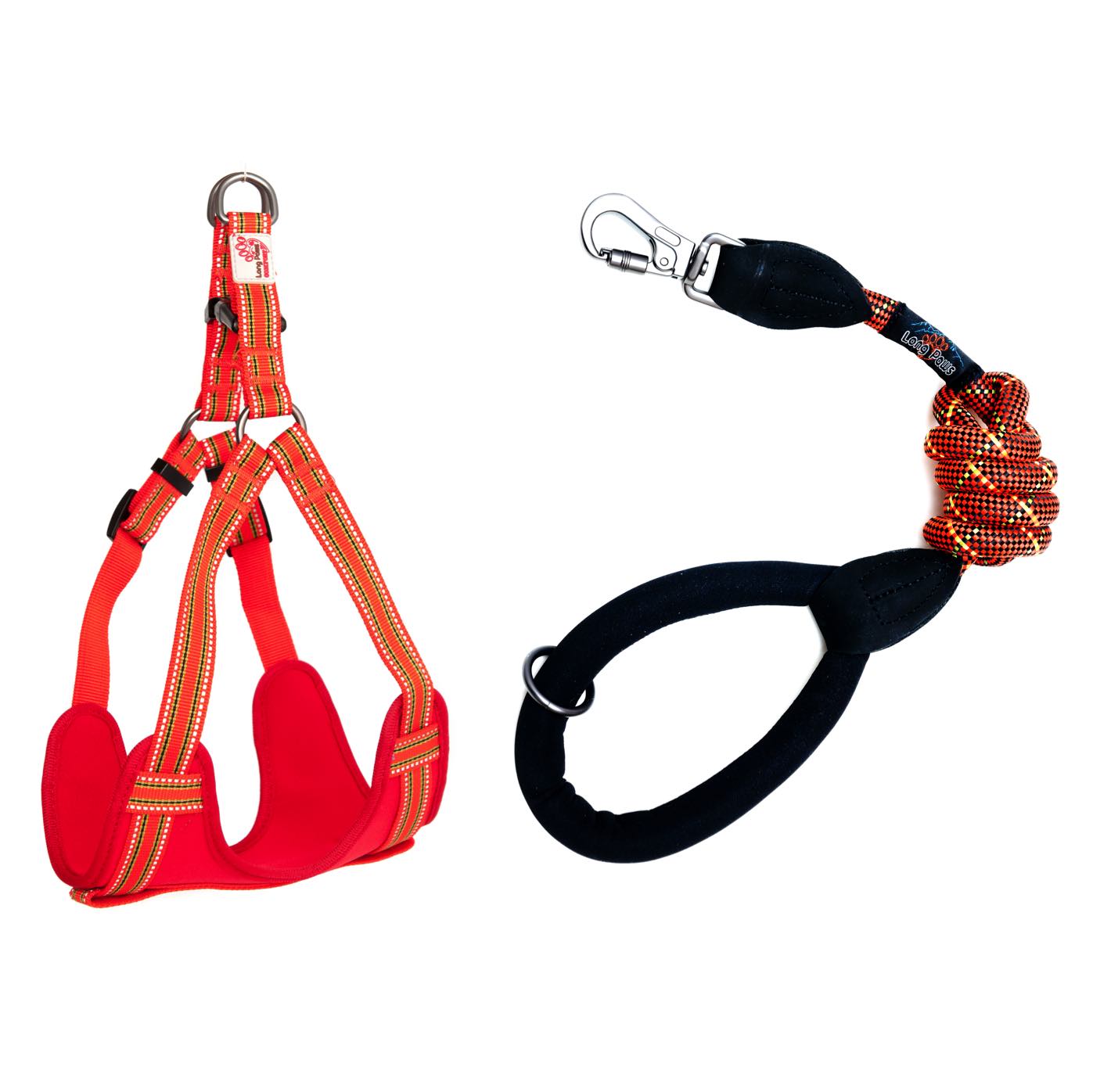 Long Paws, Comfort Rope Lead & Harness Set