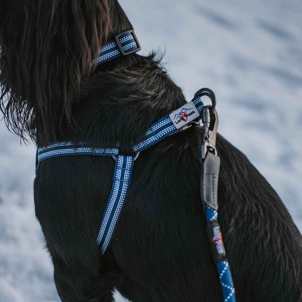 Long Paws, Comfort Rope Lead | Locking Screw Clip (Mark 3) | Navy Blue