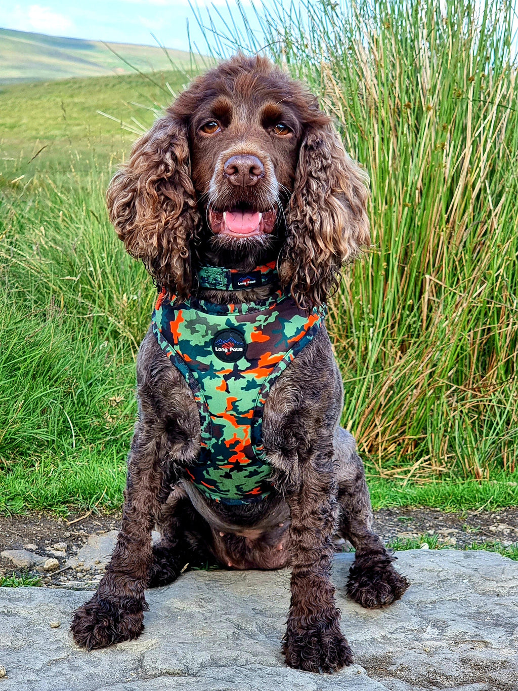 Long Paws, Earth Friendly - Trekker Harness