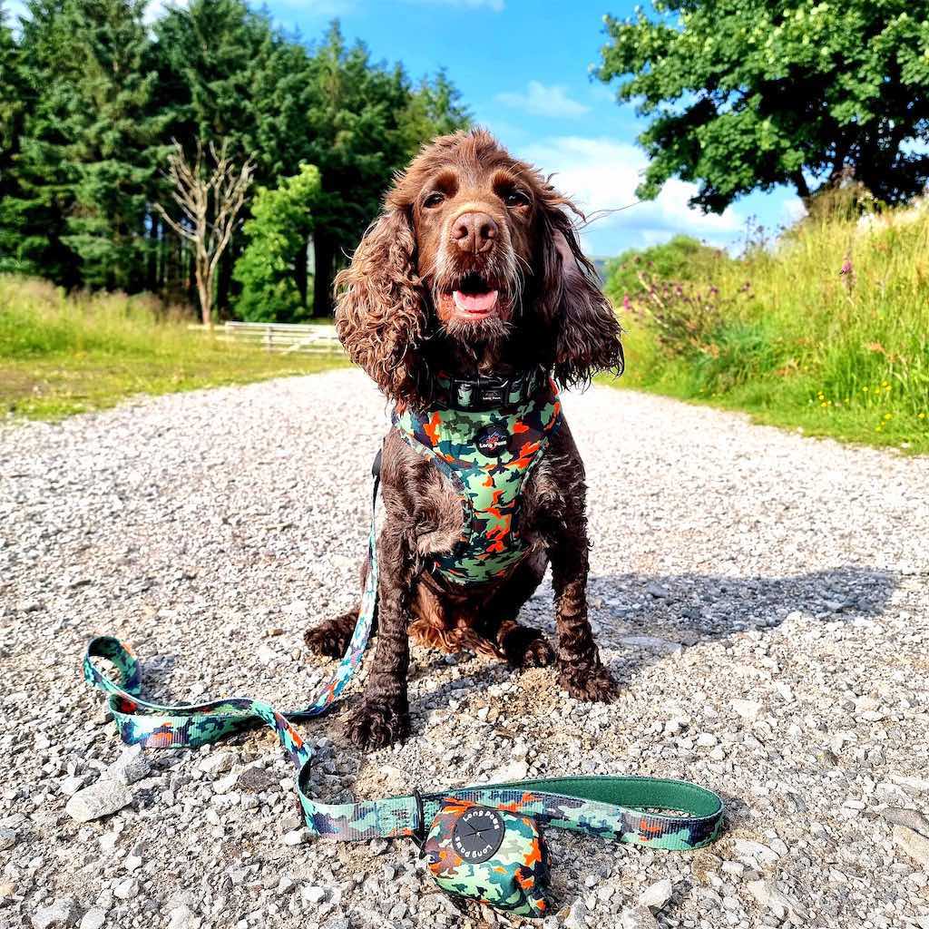 Long Paws, Earth Friendly - Trig Point Lead