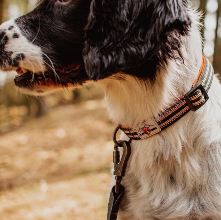 Long Paws, Comfort Dog Collar - Black