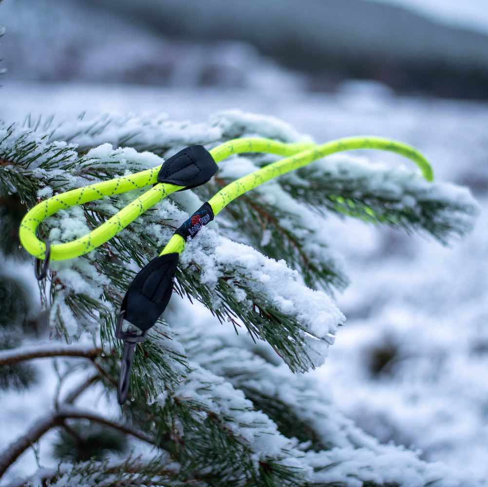 Long Paws, Reflective Neon Rope Lead