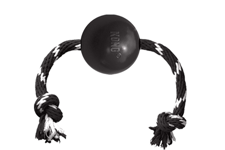 KONG Extreme Ball w/Rope Lg