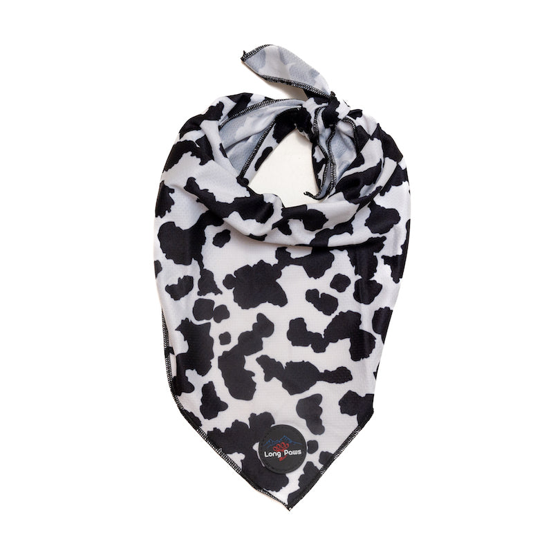 Long Paws, Funk The Dog Bandana | Cow Print