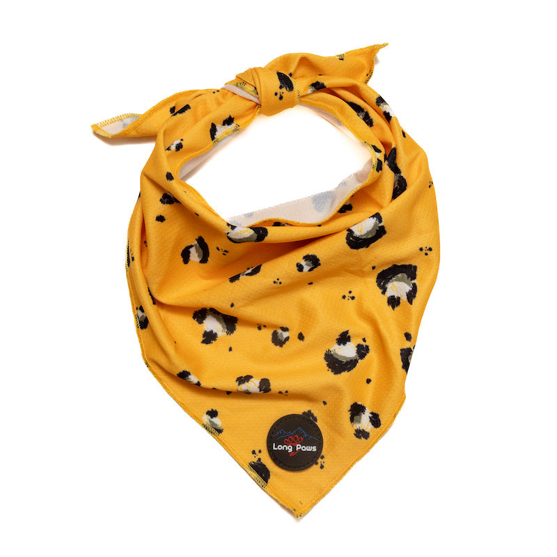 Long Paws, Funk The Dog Bandana | Mustard Panda