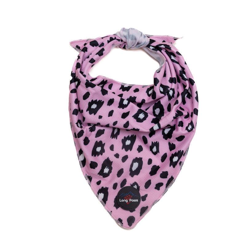 Long Paws, Funk The Dog Bandana | Pink Leopard