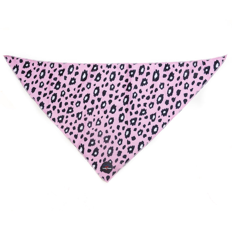 Long Paws, Funk The Dog Bandana | Pink Leopard