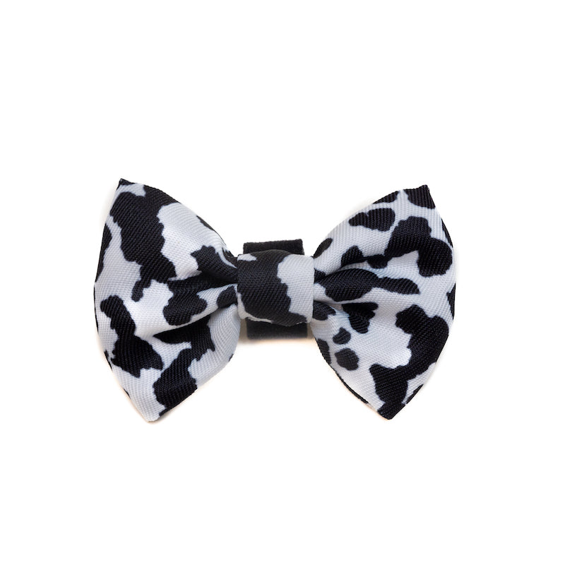 Long Paws, Funk The Dog Bow Tie | Cow Print