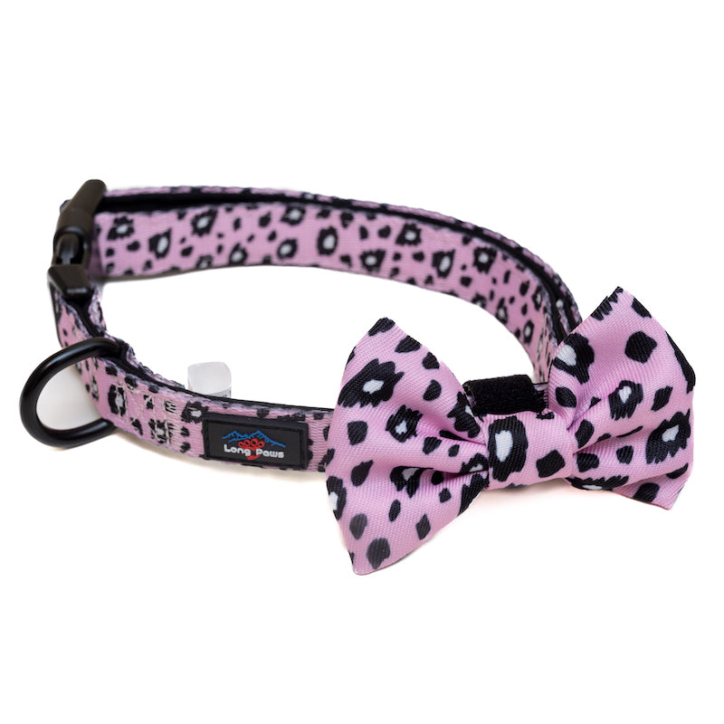 Long Paws, Funk The Dog Bow Tie | Pink Leopard
