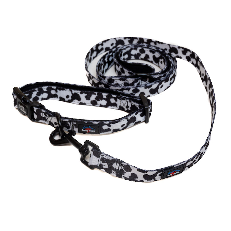 Long Paws, Funk The Dog Collar | Cow Print