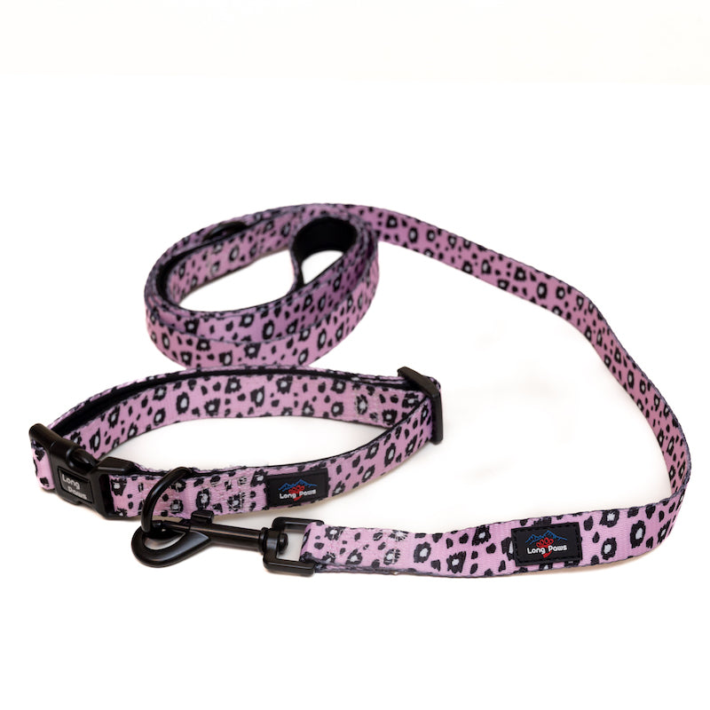 Long Paws, Funk The Dog Collar | Pink Leopard