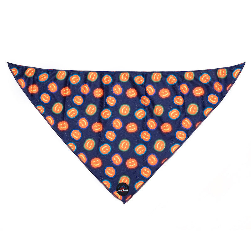 Long Paws, Funk The Dog Bandana | Halloween | Pumpkin in the Stars