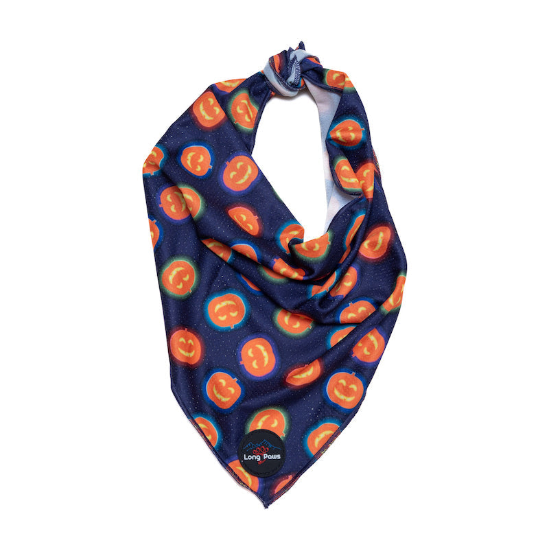 Long Paws, Funk The Dog Bandana | Halloween | Pumpkin in the Stars