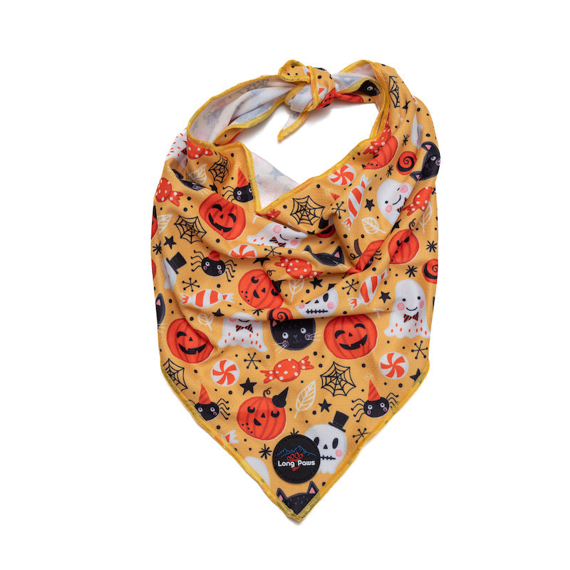 Long Paws, Funk The Dog Bandana | Halloween | Pumpkins, Ghouls, Cats & Critters