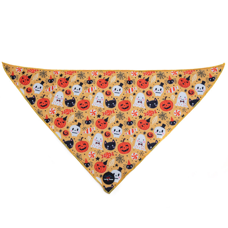 Long Paws, Funk The Dog Bandana | Halloween | Pumpkins, Ghouls, Cats & Critters