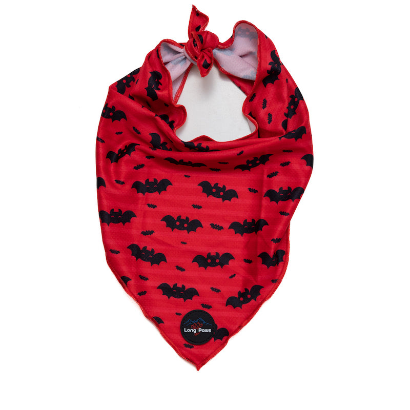 Long Paws, Funk The Dog Bandana | Halloween | Red Bats