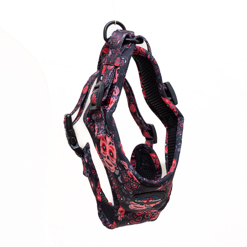 Long Paws, Funk The Dog Harness | Halloween | Day Of The Dead in Red & Pink