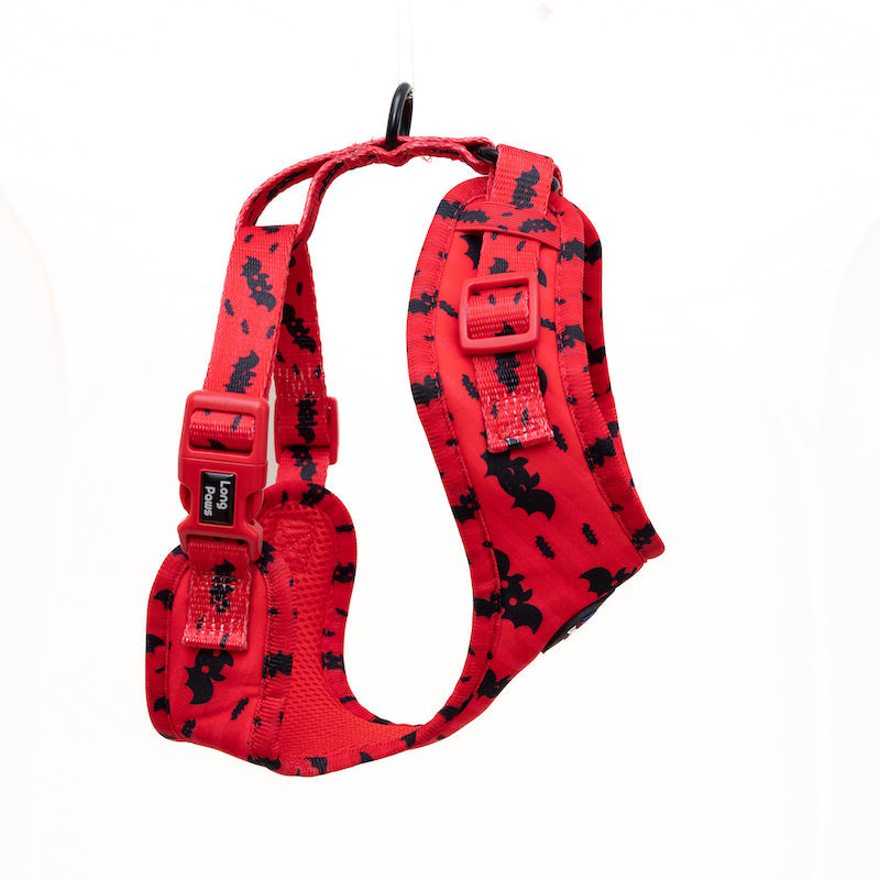 Long Paws, Funk The Dog Harness | Halloween | Red Bats