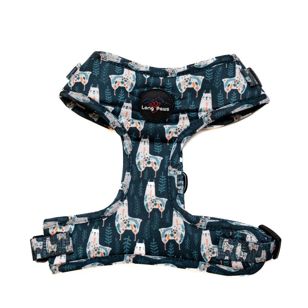 Long Paws, Funk the Dog Harness | Llama Llama Llama