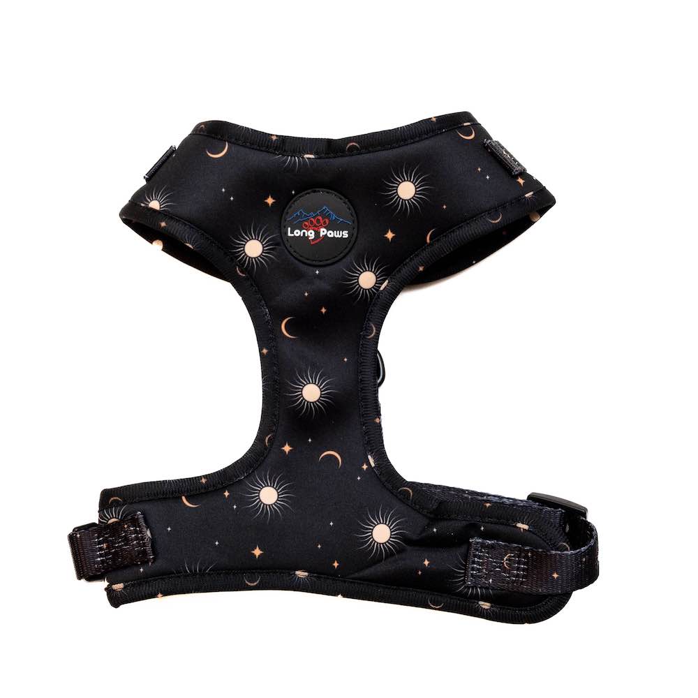 Long Paws, Funk the Dog Harness | Night Sky