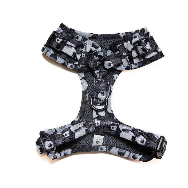 Long Paws, Funk The Dog Harness | B&W Footballs