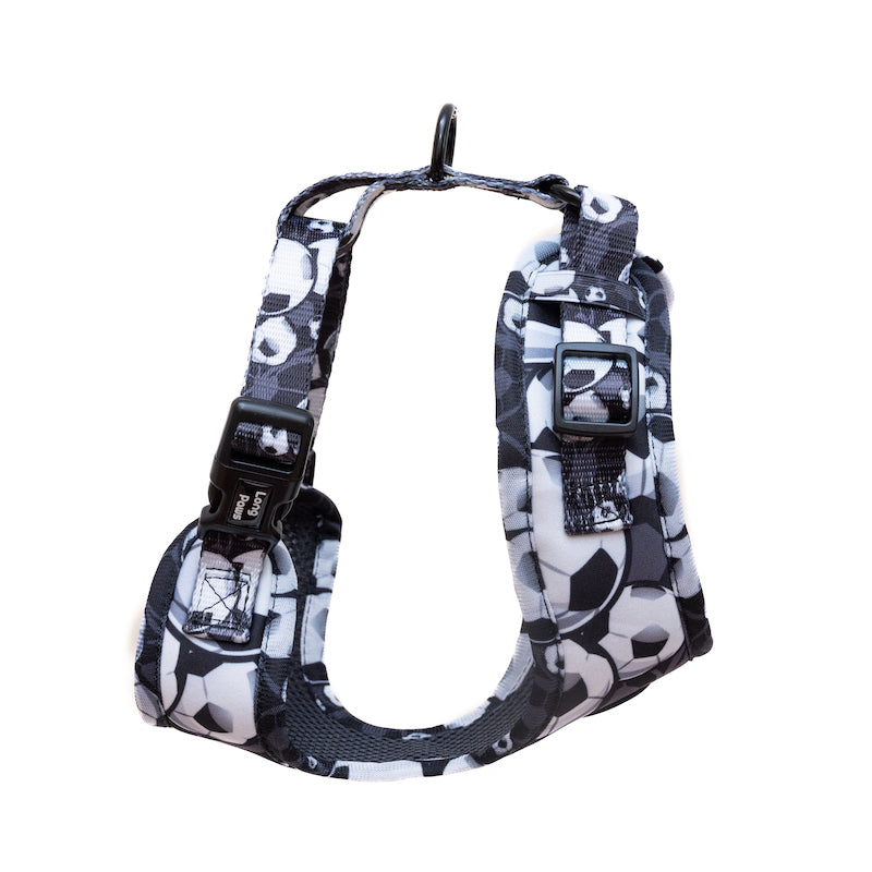 Long Paws, Funk The Dog Harness | B&W Footballs