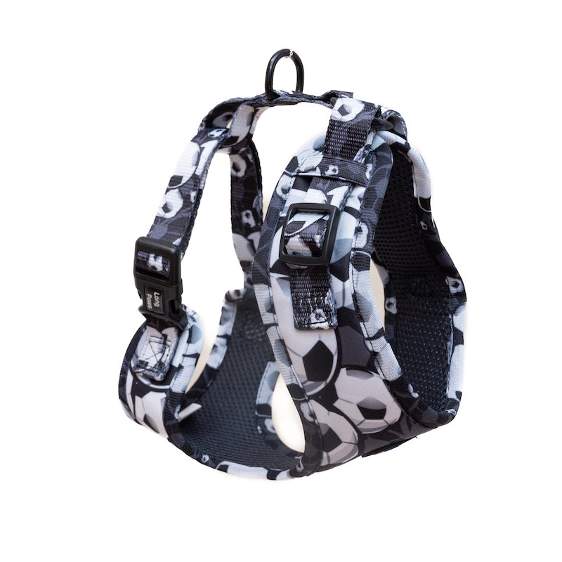 Long Paws, Funk The Dog Harness | B&W Footballs