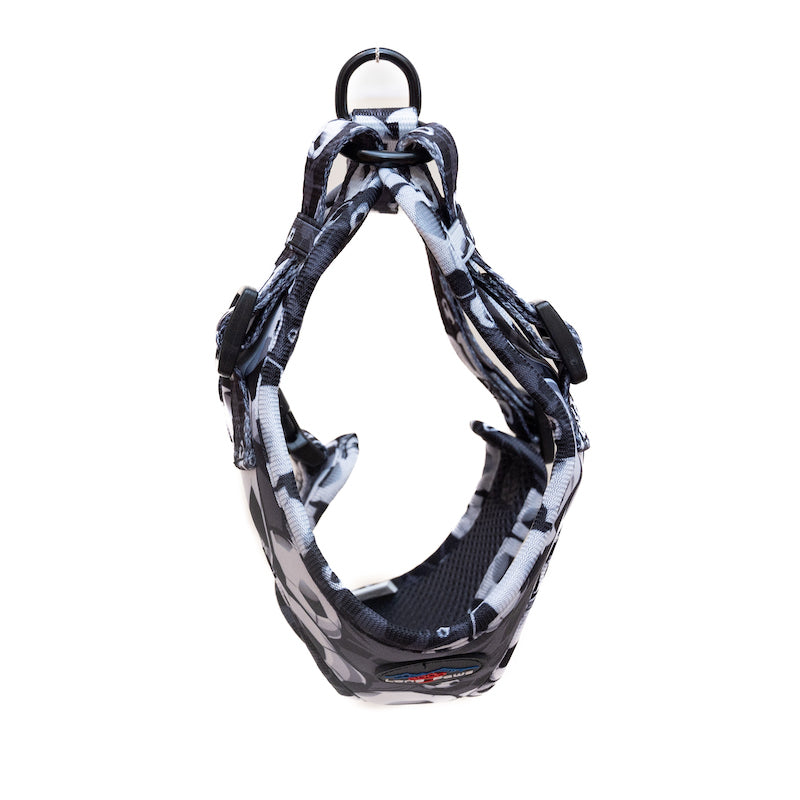 Long Paws, Funk The Dog Harness | B&W Footballs