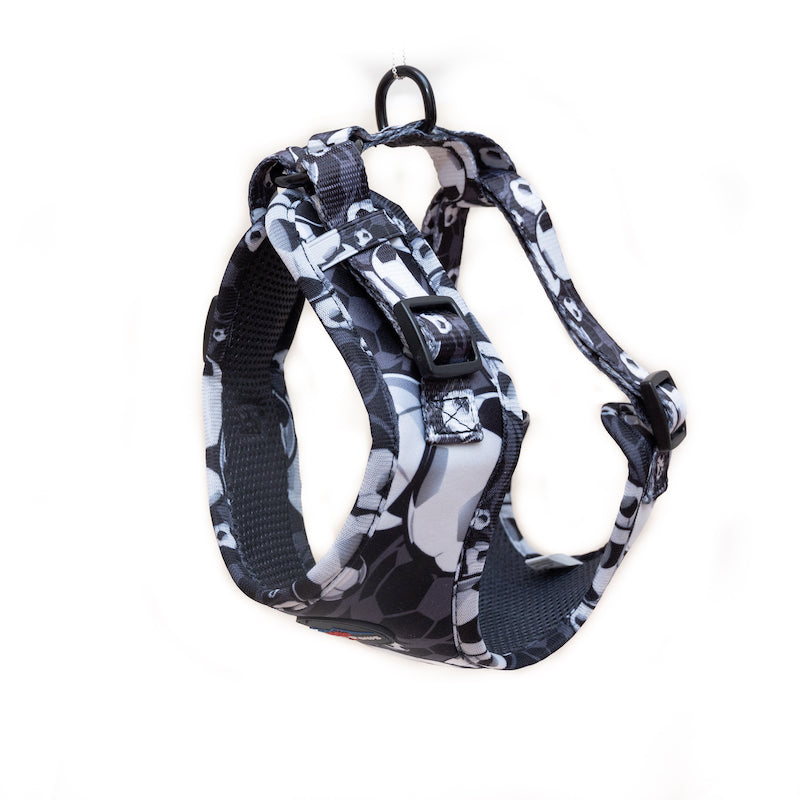Long Paws, Funk The Dog Harness | B&W Footballs