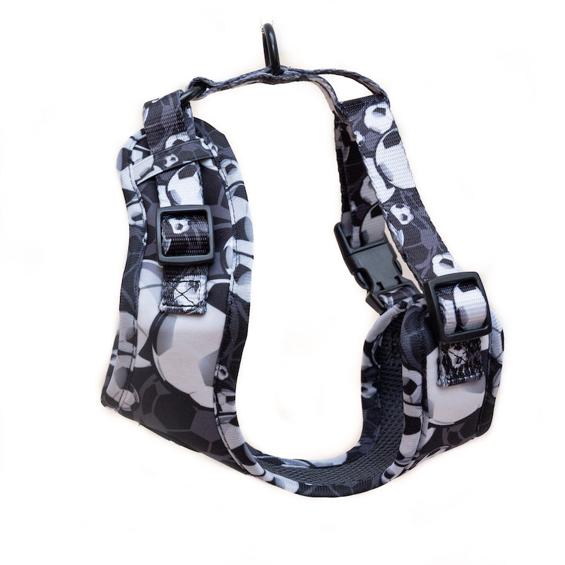 Long Paws, Funk The Dog Harness | B&W Footballs