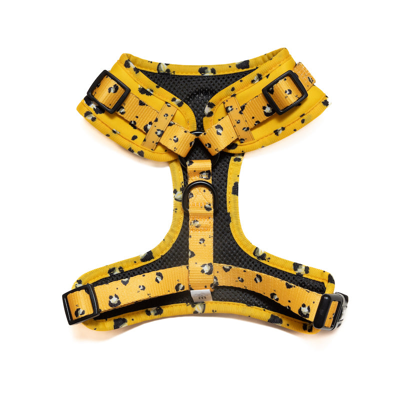 Long Paws, Funk The Dog Harness | Mustard Panda