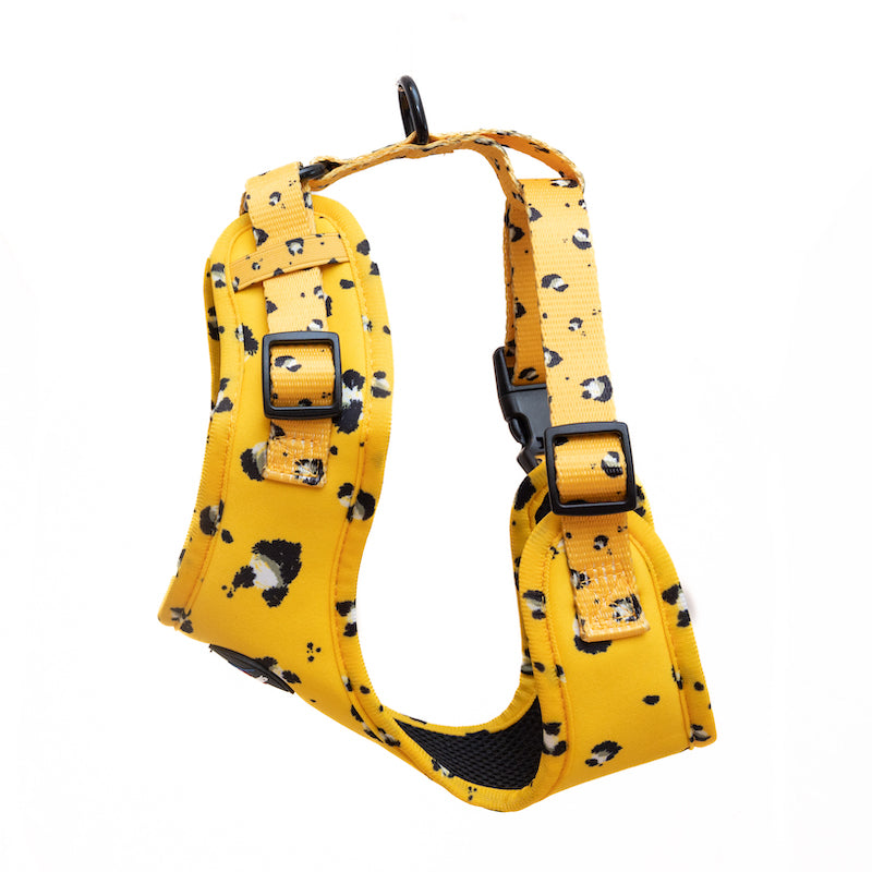Long Paws, Funk The Dog Harness | Mustard Panda
