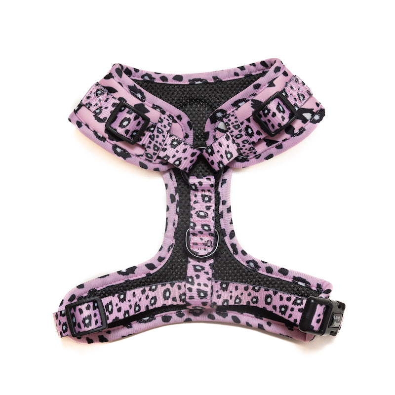 Long Paws, Funk The Dog Harness | Pink Leopard