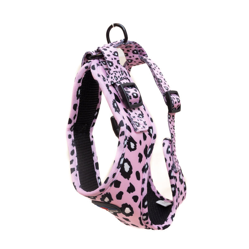 Long Paws, Funk The Dog Harness | Pink Leopard