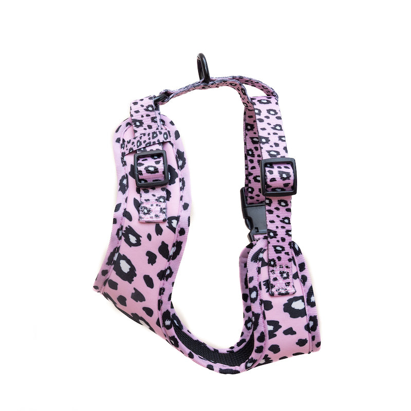 Long Paws, Funk The Dog Harness | Pink Leopard